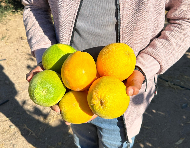 Sustainability at JAZ Hotel Group